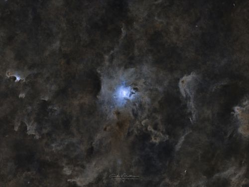 NGC7023 / LBN487