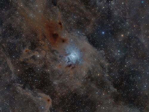 NGC 7023 – IRIS e nebulosa oscura