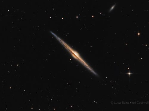 NGC 4565 la Galassia Ago