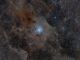 NGC 7023 - IRIS e nebulosa oscura
