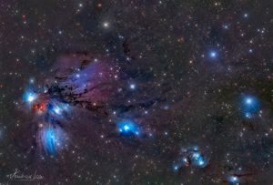 La nebulosa Angelo NGC 2170