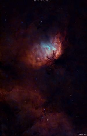 SH2-101 Nebulosa Tulipano