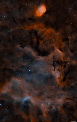 SH2-101 Nebulosa Tulipano e WR134