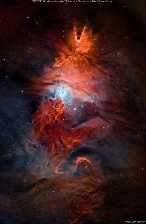 NGC2264 - Ammasso dell'Albero di Natale con Nebulosa Cono