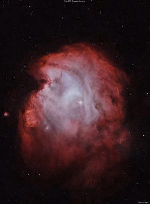 Sh2-252 Nebulosa Testa di Scimmia