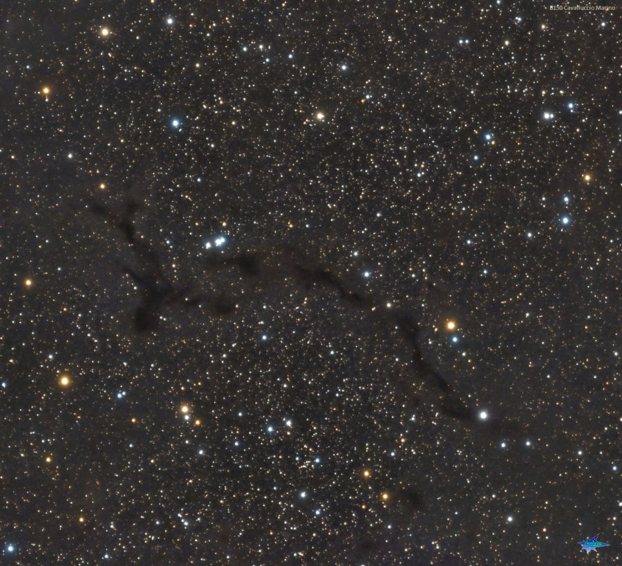 B150 nebulosa scura Cavalluccio marino