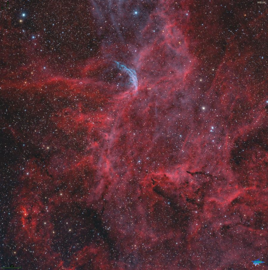 WR134 Stella Wolf-Rayet e nebulosità interstellare