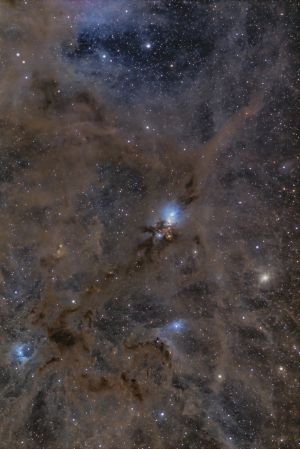 Ngc1333 Wide Field