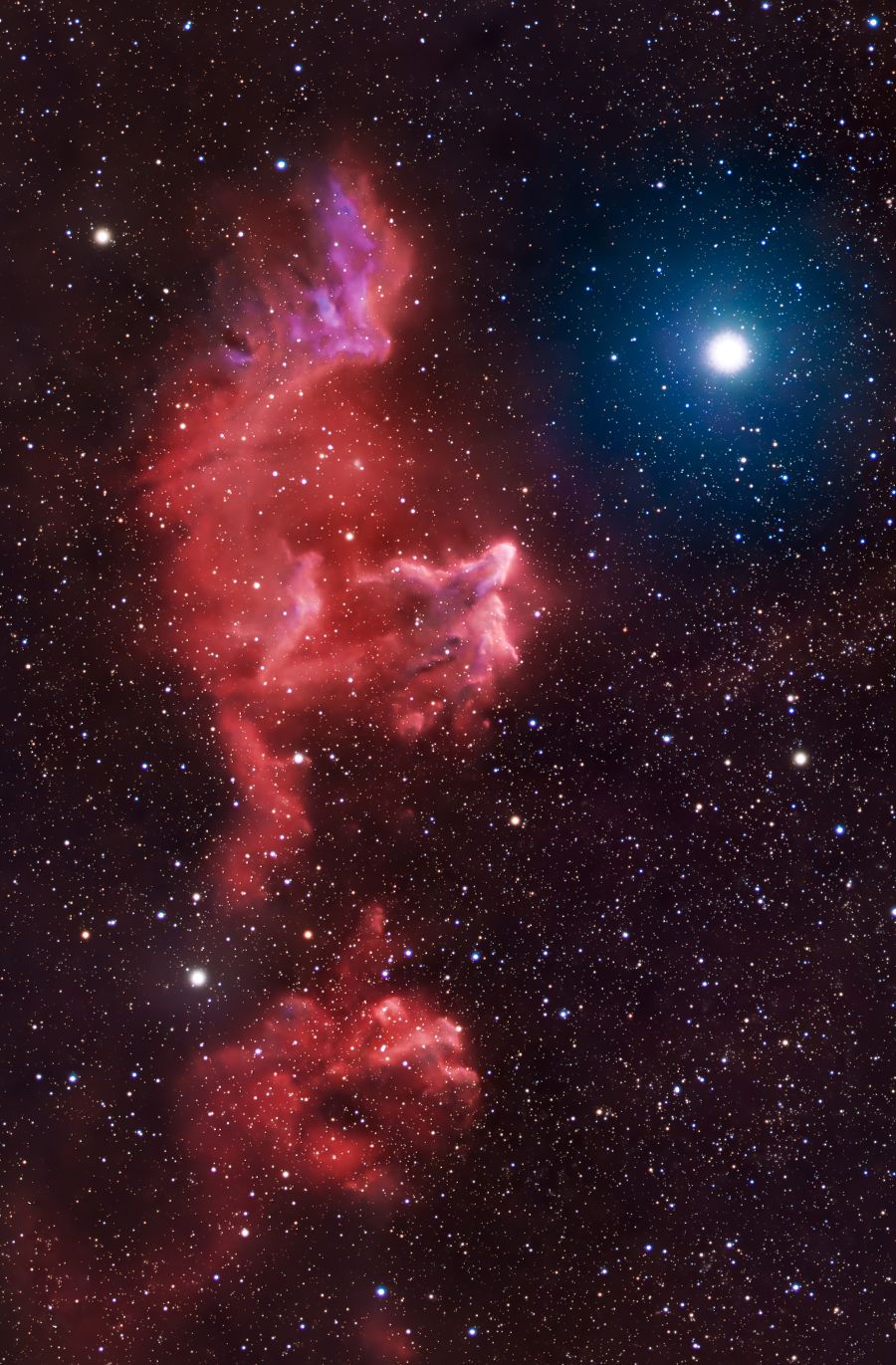 IC 63 Fantasma Cassiopea