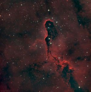 vdB142 nebulosa proboscide di elefante