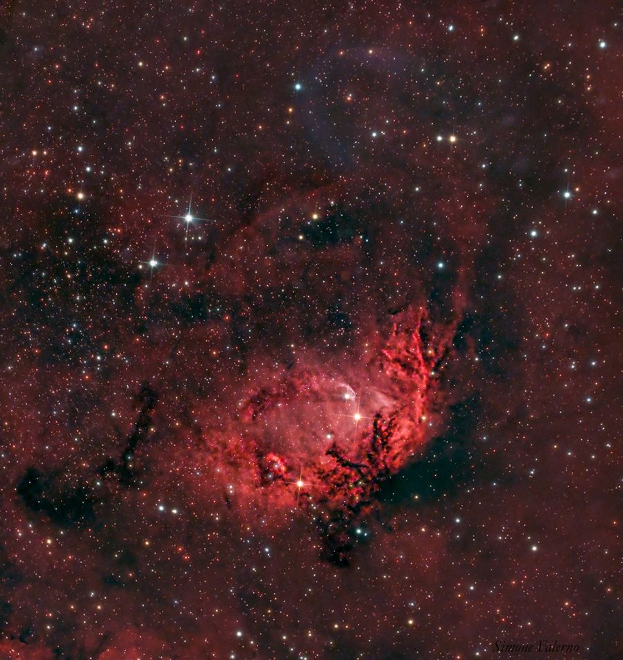 SH2-101: La Nebulosa Tulipano e il Buco Nero Cygnus X-1