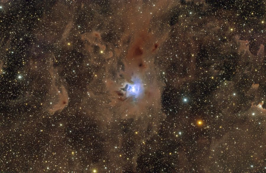 NGC7023 – IRIS NEBULA