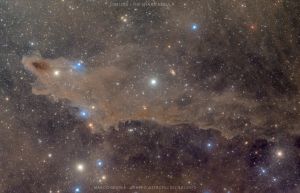 LDN1235 - THE SHARK NEBULA