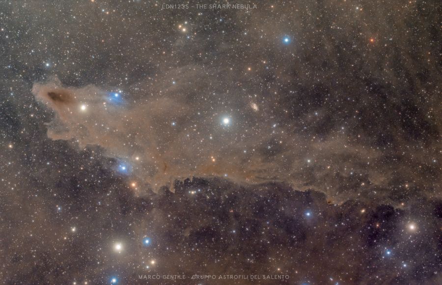 LDN1235 – THE SHARK NEBULA