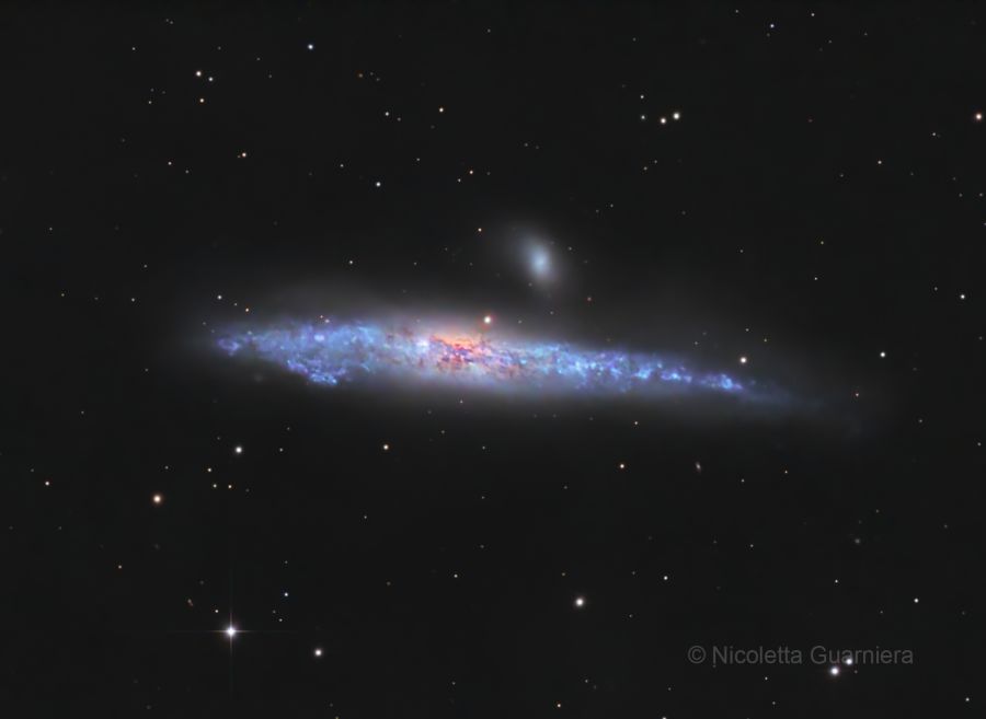 NGC 4631 La Galassia Balena