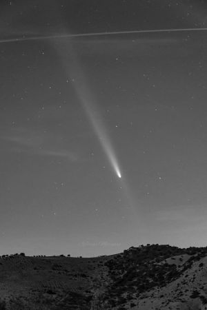 Una vagabonda celeste nel cielo siciliano