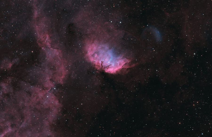 Tulip Nebula and Cygnus X-1