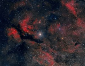 IC 1318 - Sadr