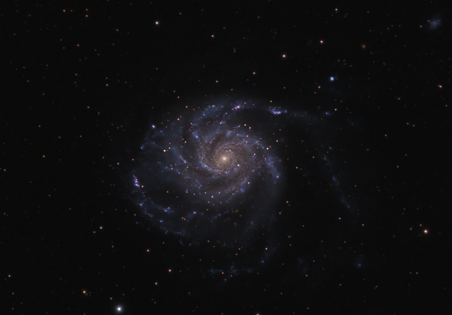 M101