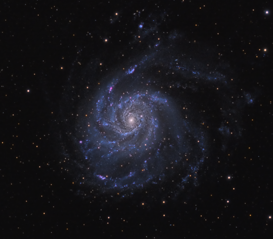 Galassia M101