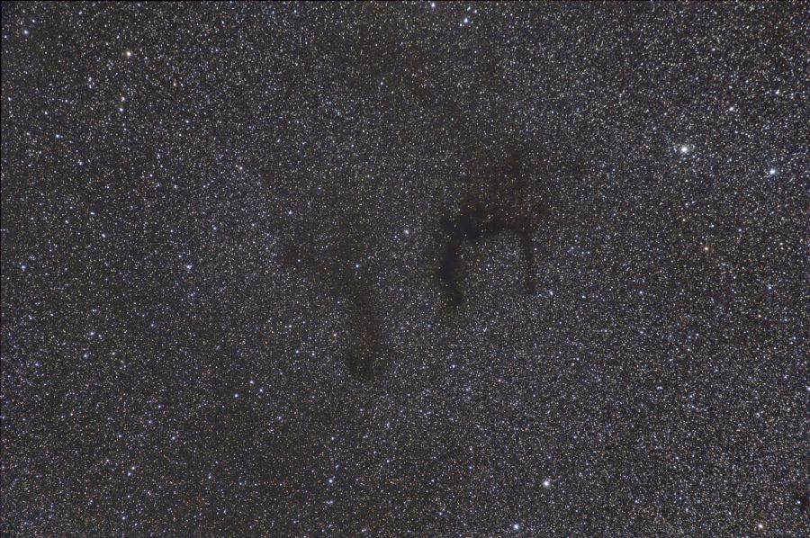 Nebulosa E – Barnard 142-143