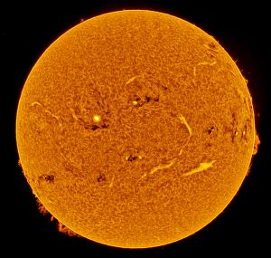 Il Sole a disco intero in H-Alpha - 3 novembre 2024