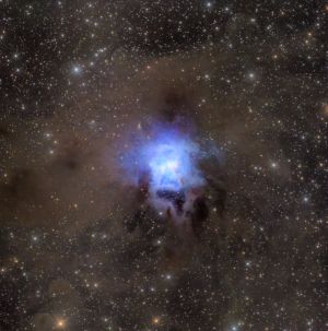 NGC 7023 - la nebulosa Iris