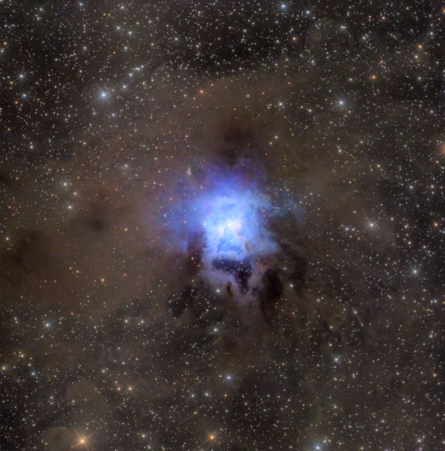 NGC 7023 – la nebulosa Iris