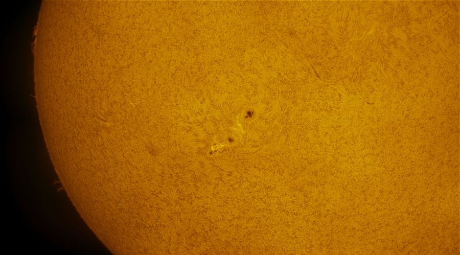 AR 2565 e 2567 in h-alpha