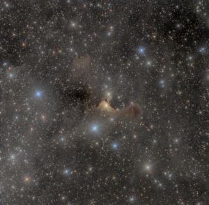 La Nebulosa Fantasma - VdB 141