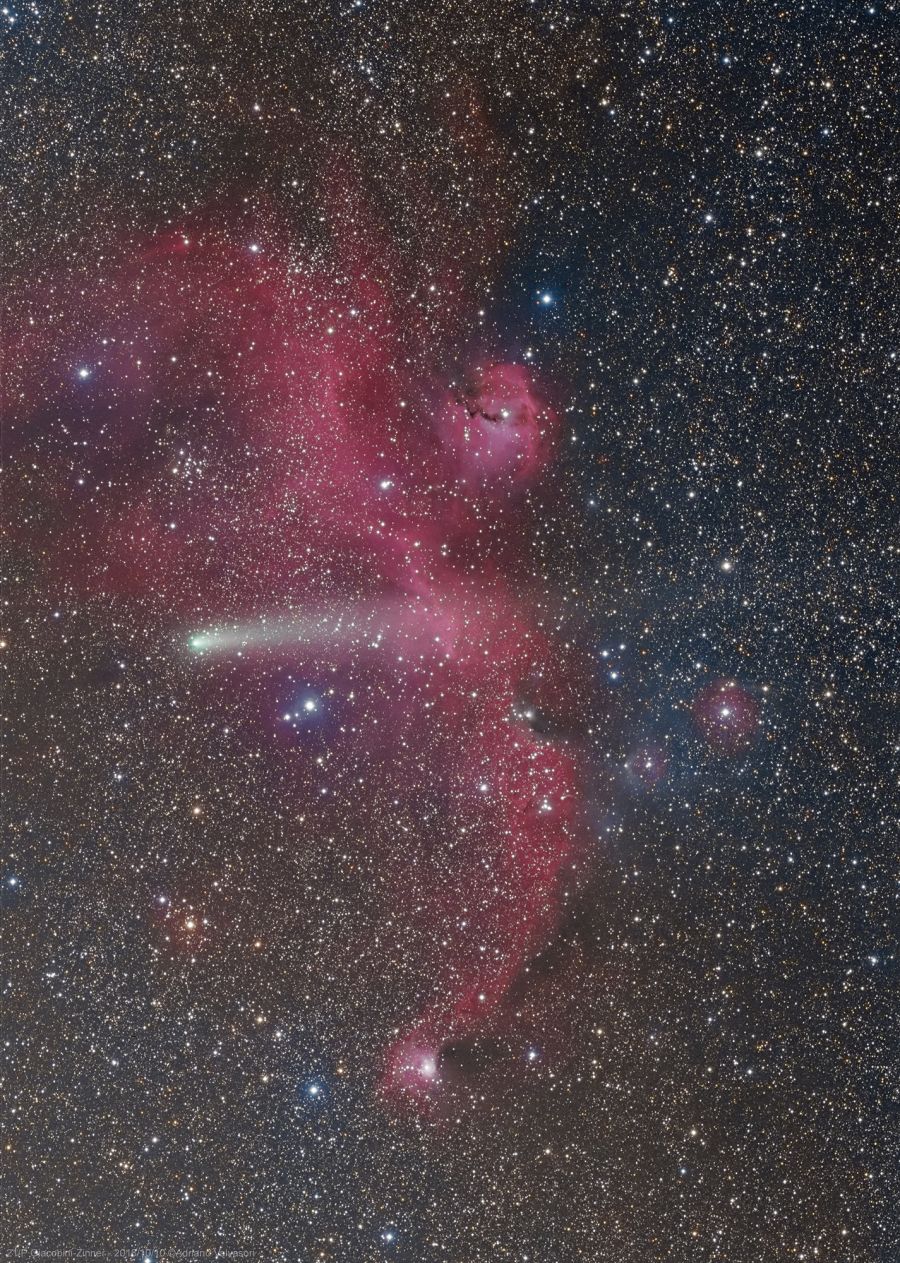 Cometa 21/P Giacobini-Zinner e IC2177