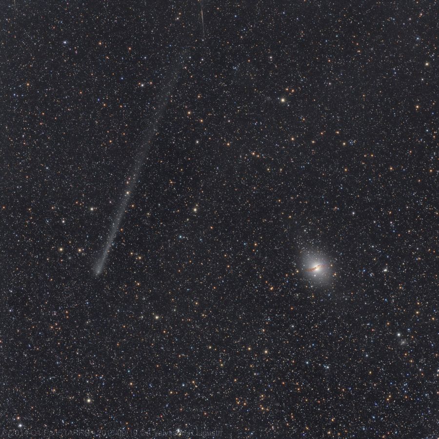 C/2014 Q1 PanSTARRS e NGC5128