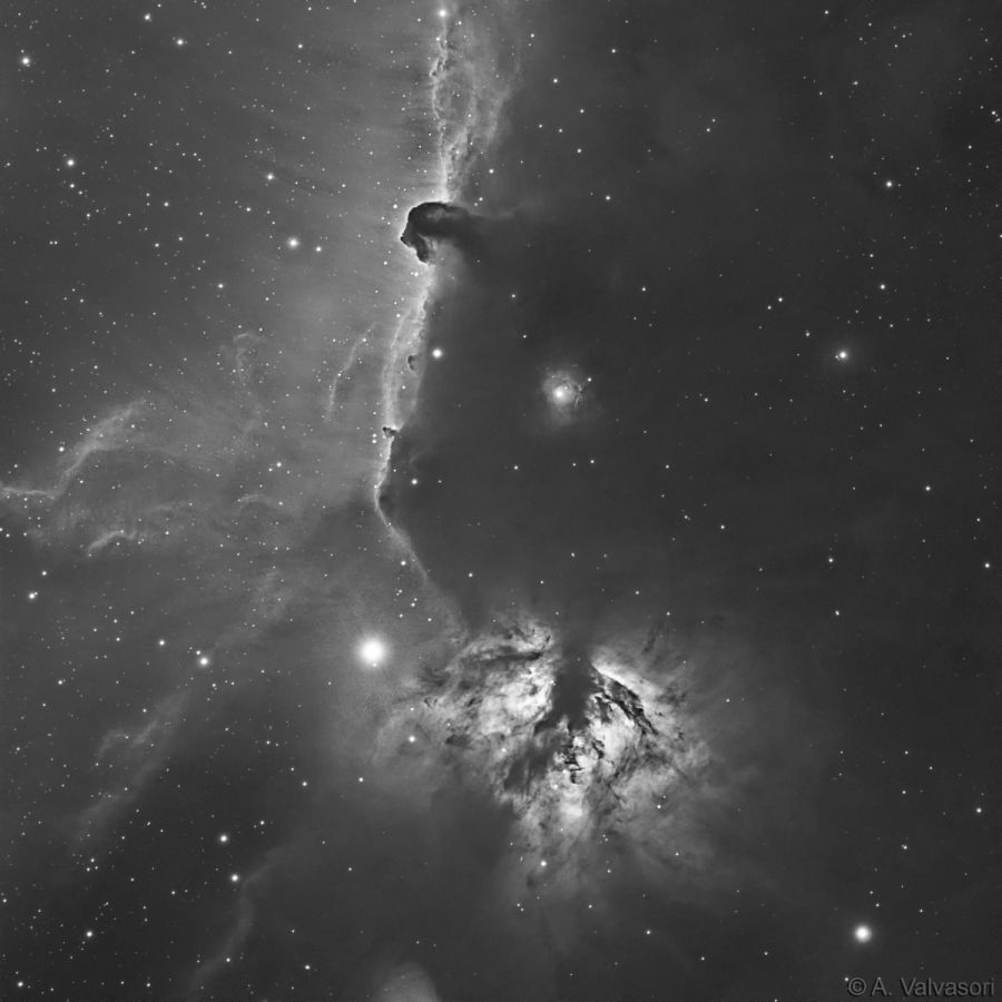 IC434, NGC2024