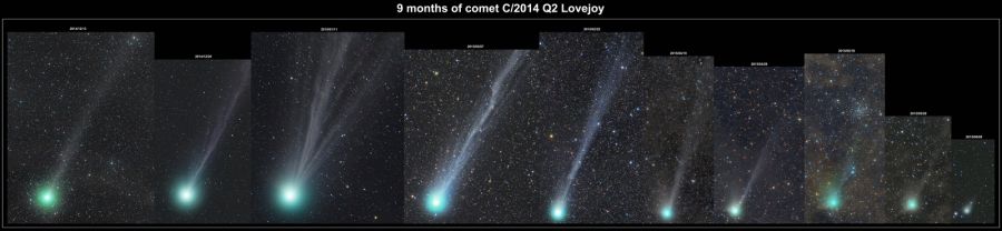 9 mesi di cometa C/2014 Q2 Lovejoy