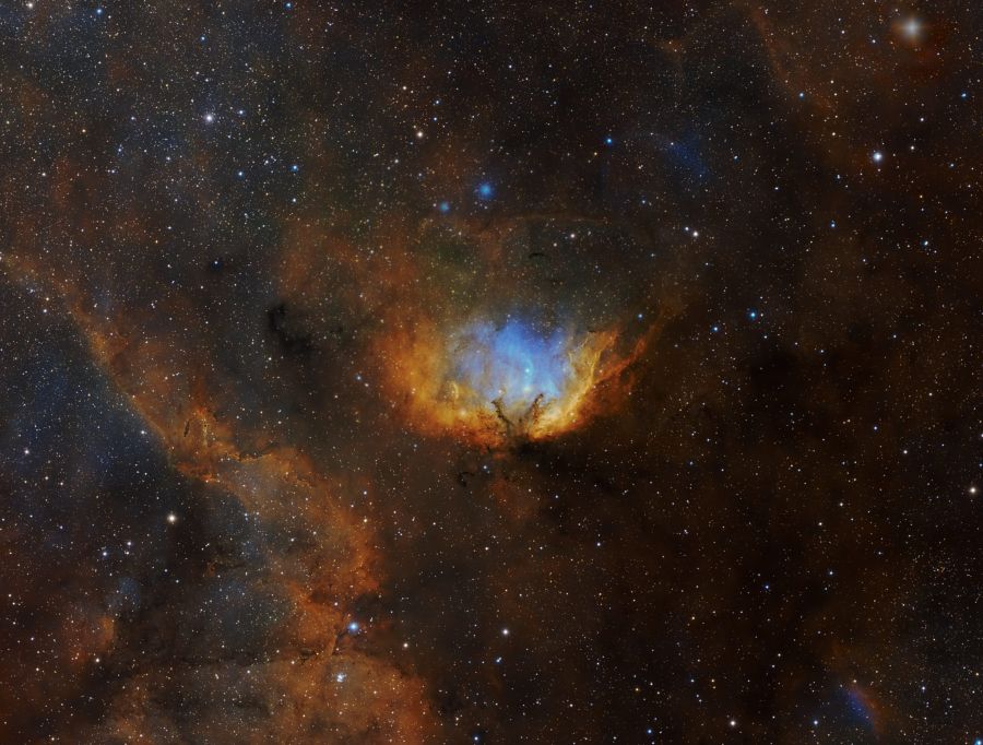 La nubulosa Tulipano e il buco nero Cygnus X-1