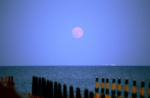 Luna che sorge sul mare