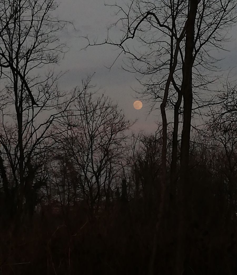 Luna di Neve