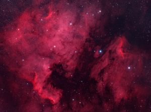 Nebulosa Nord America e Nebulosa Pellicano