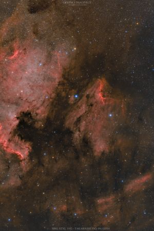 NGC 7000 e IC 5070