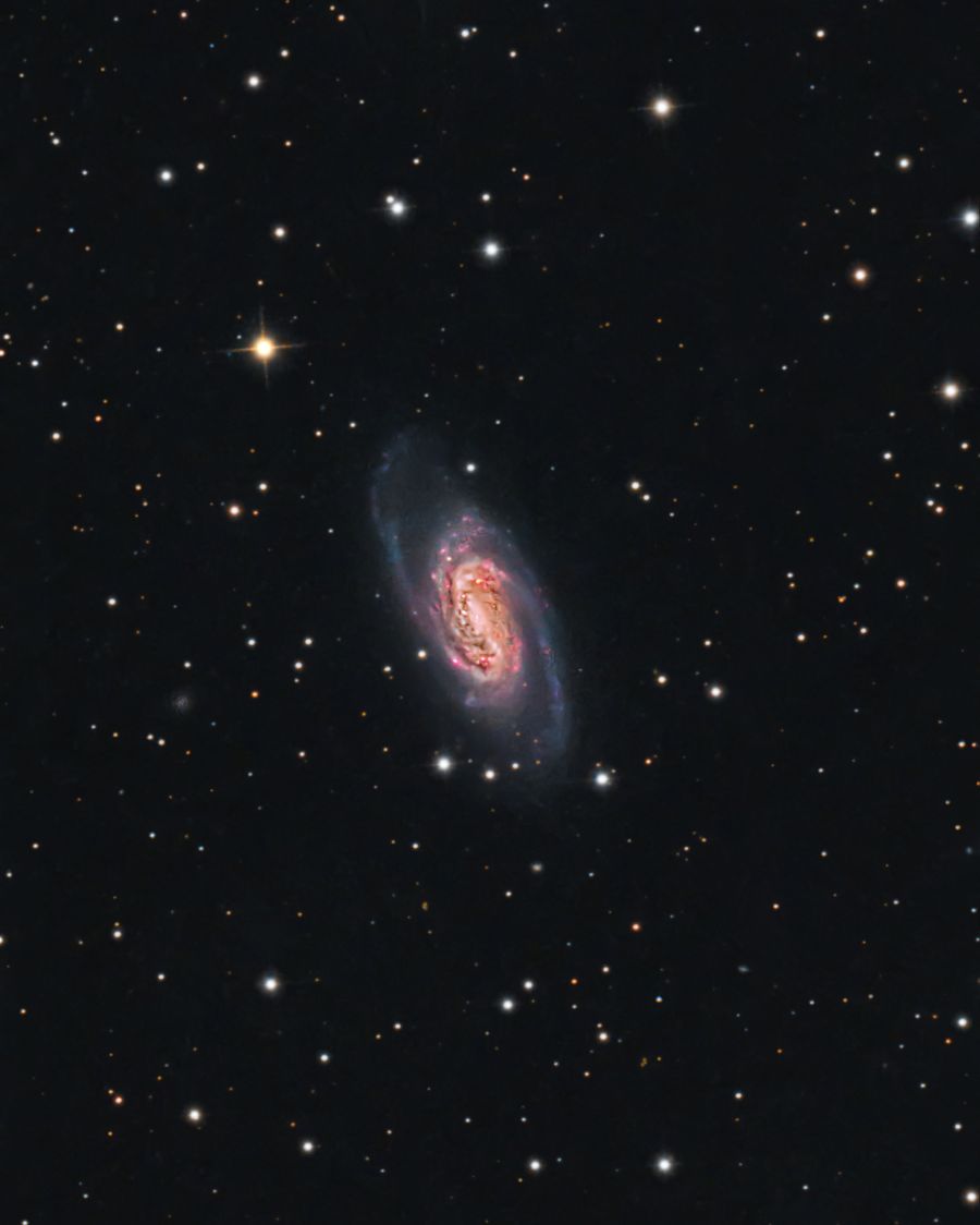 NGC2903 nel Leone