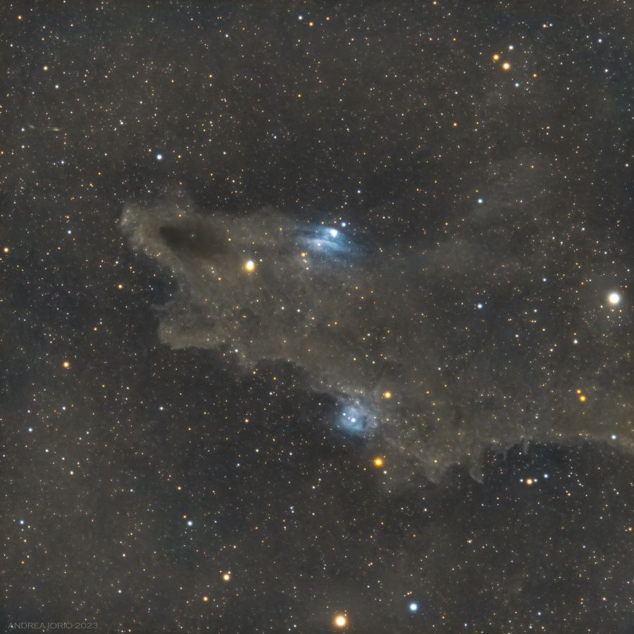 La nebulosa Squalo