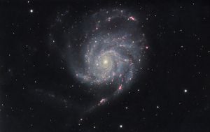 Galassia Girandola (M101)