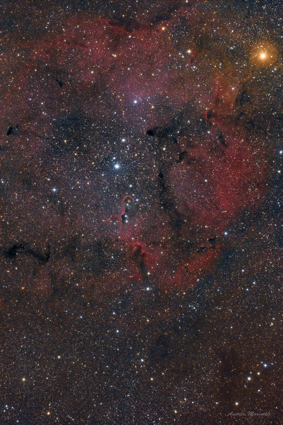 IC1396 Elephant Trunk