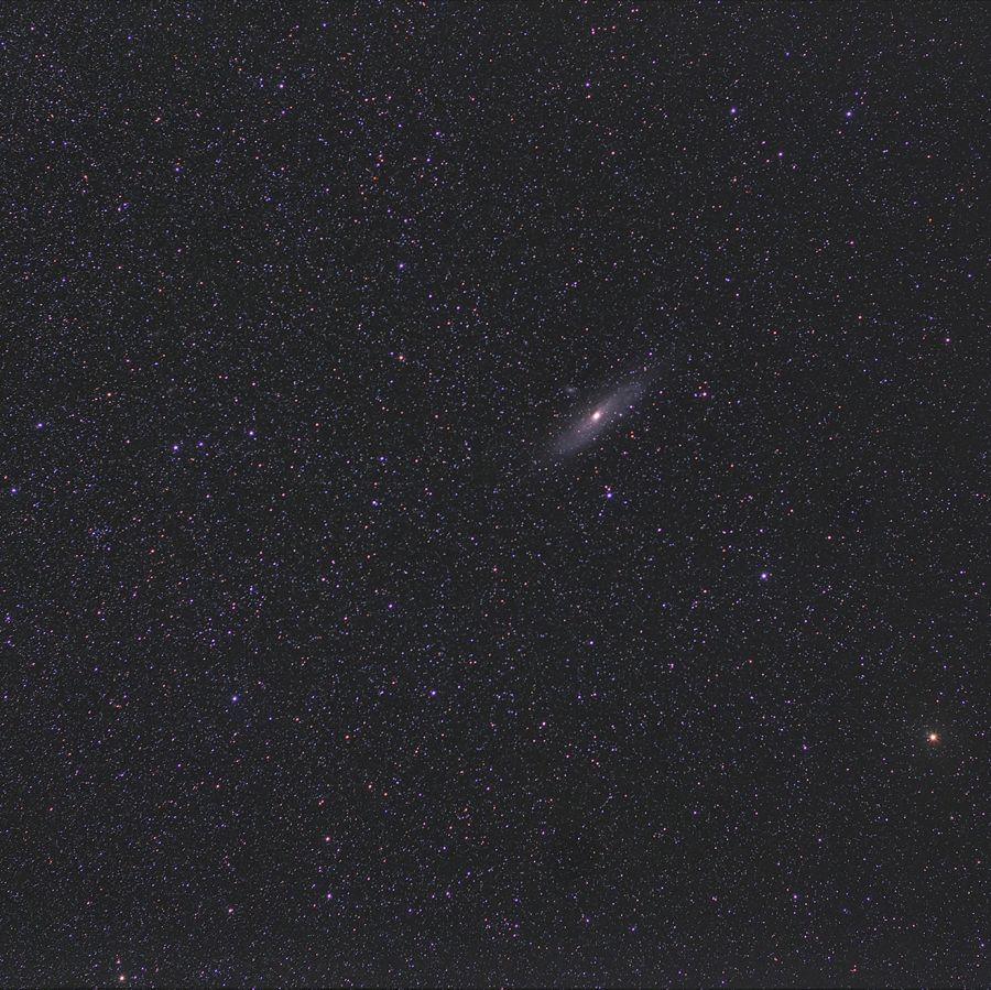 M31