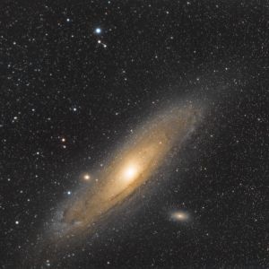 M31