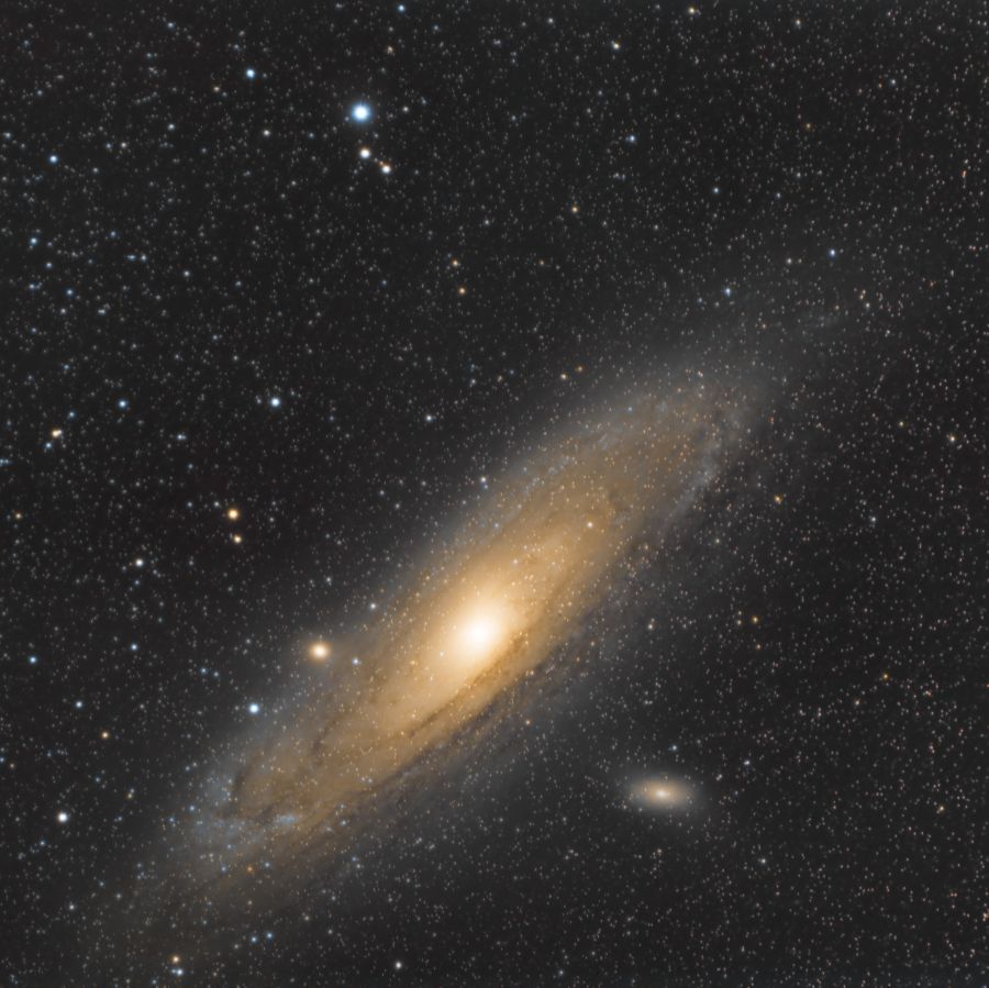 M31