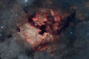 Ngc7000