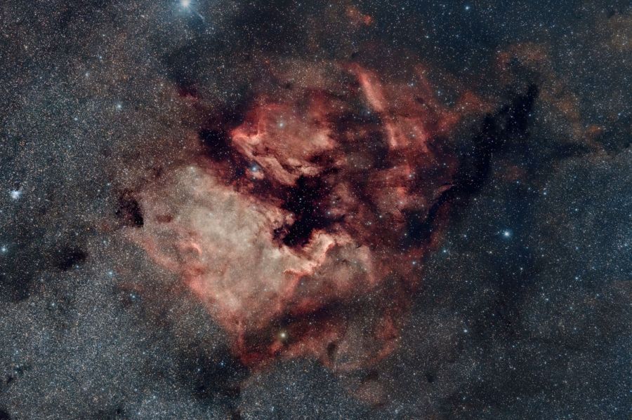 Ngc7000