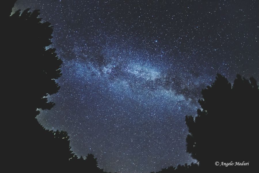 Via Lattea tra gli alberi sull’Aspromonte