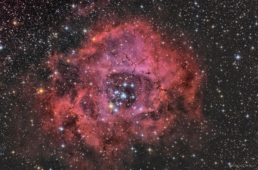 NGC 2237 – Rosette Nebula